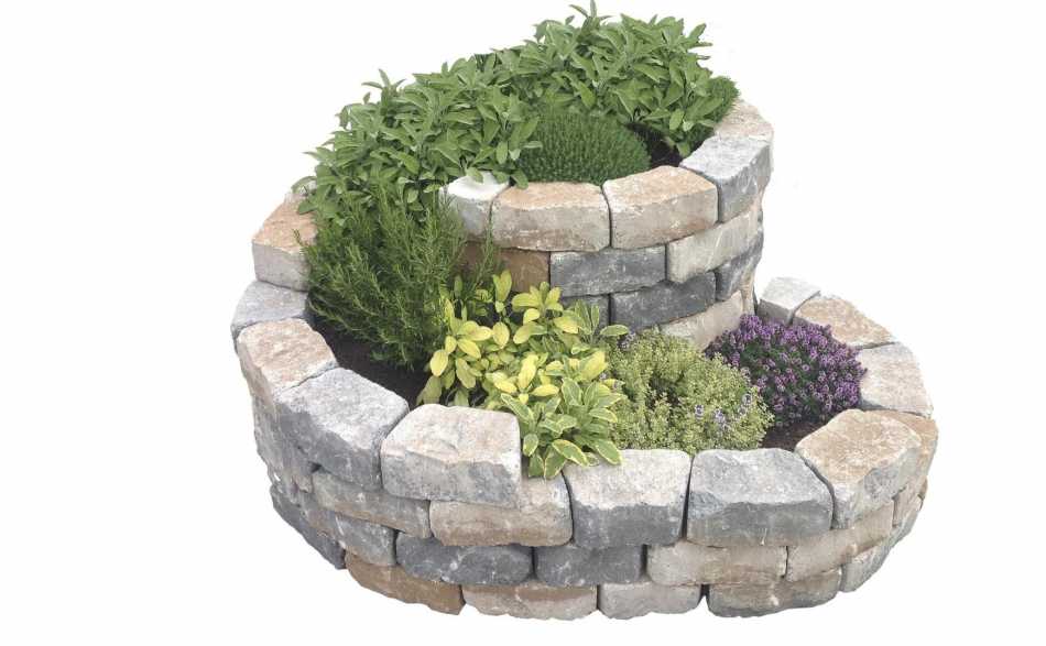 dawinshop dawinbauat--article-2511-0.jpeg